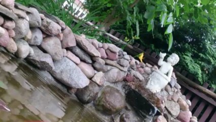 Sony Xperia Tablet Z - Film podwodny