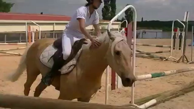 Aline et Roumba. cso 70cm grange neuve