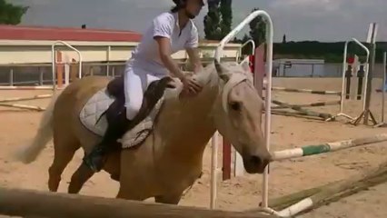 Aline et Roumba. cso 70cm grange neuve