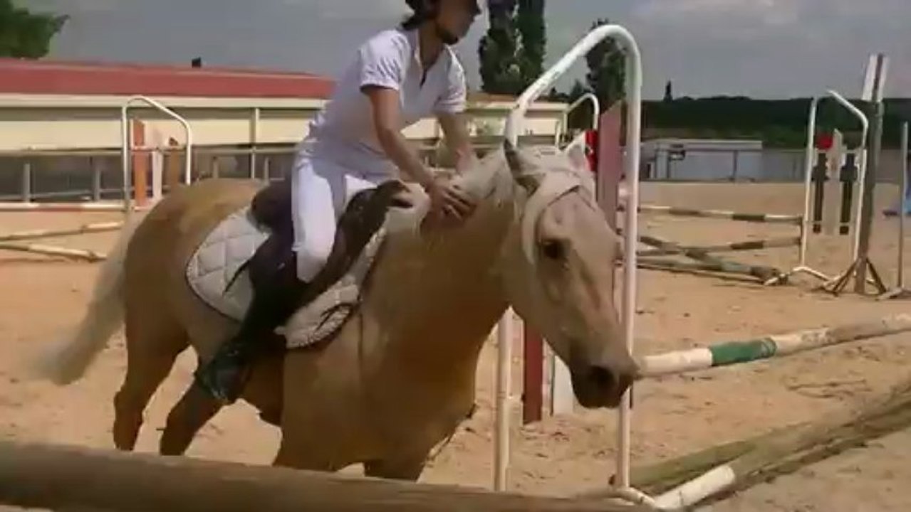 Aline et Roumba. cso 70cm grange neuve