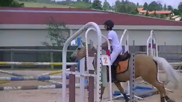 Aline et Roumba. cso 90cm grange neuve