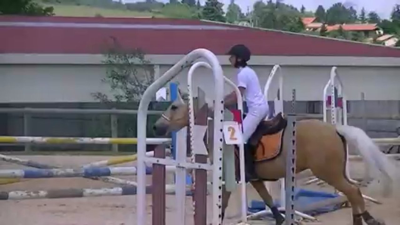 Aline et Roumba. cso 90cm grange neuve