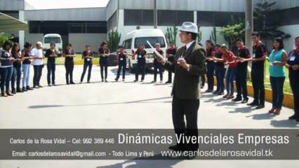 Capacitador Empresarial | Motivación y Trabajo e Equipo | Perú