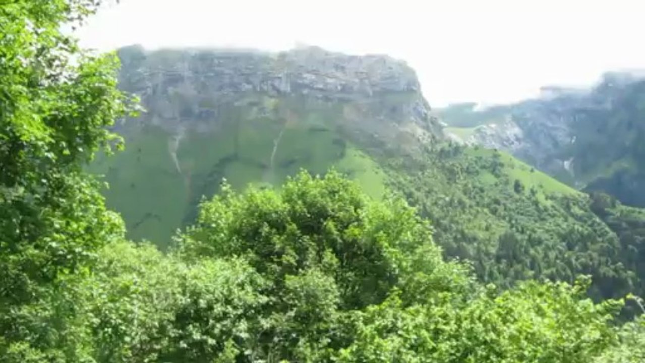 tournette