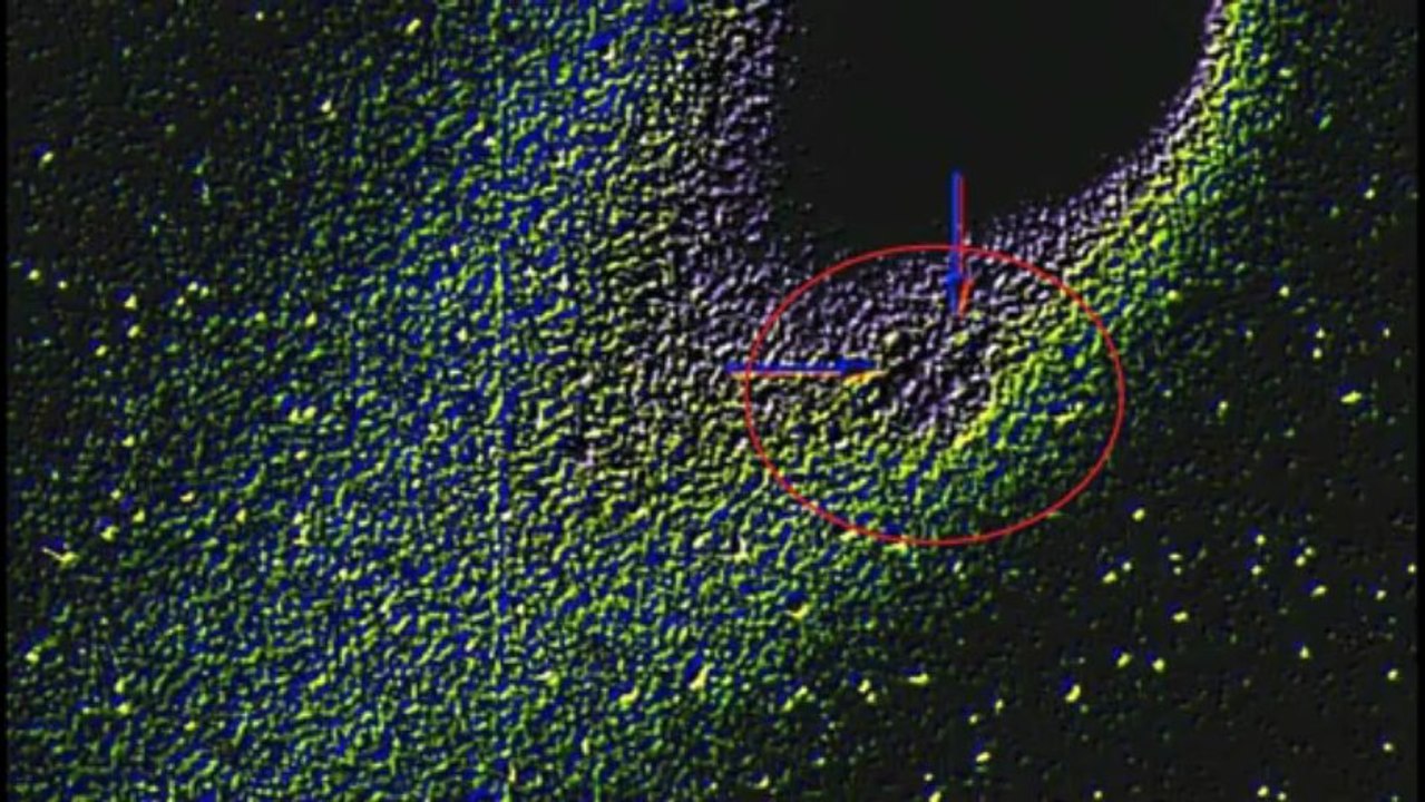 COMET C_ 2012 S1 ISON HAS A COMPANION