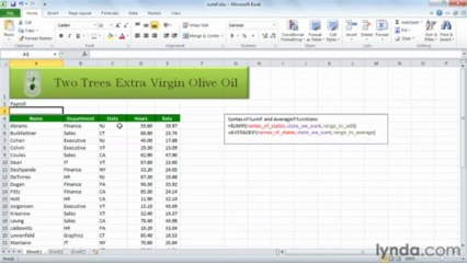 0310 Using SUMIF and AVERAGEIF