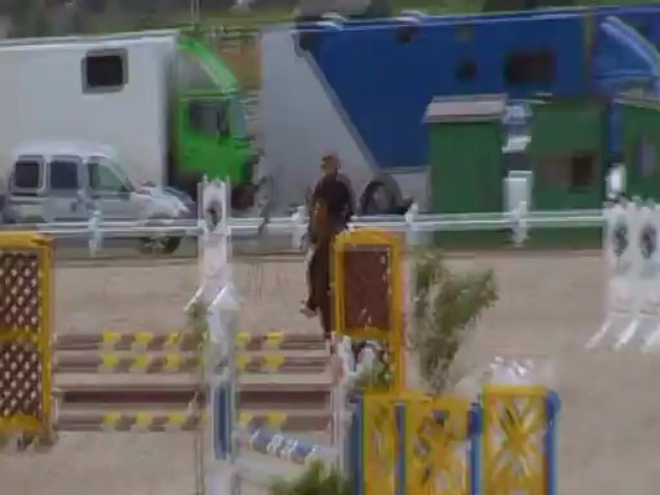 Bons Baisers du Rouge Cloître 3ème dan,s le M cavalors cup à Moorsel sur 98 partants