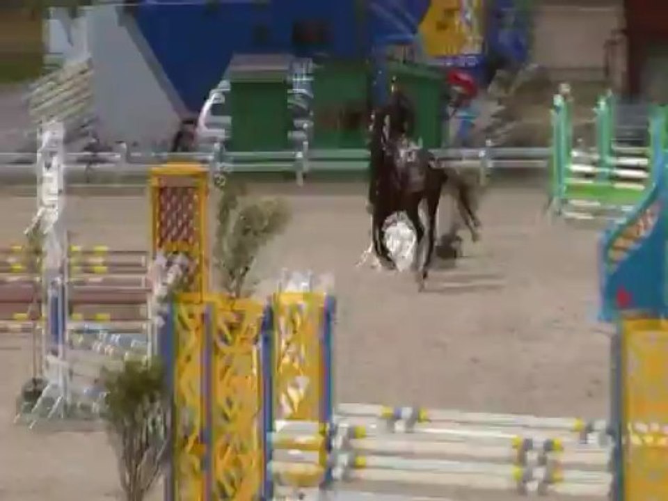 Carcassonne d En Haut sans faute dans le M dans la cavalors cup à Moorsel24 sur 98