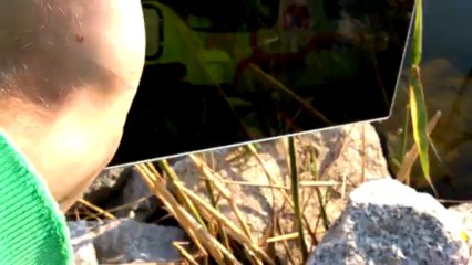 Yellow Submarine Malta Poznań