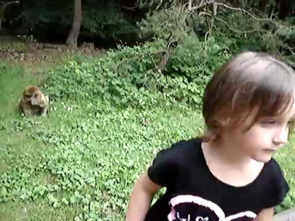Montagne des singes