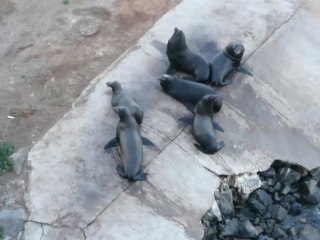 ENSENARIA, MEXICO 2013 095