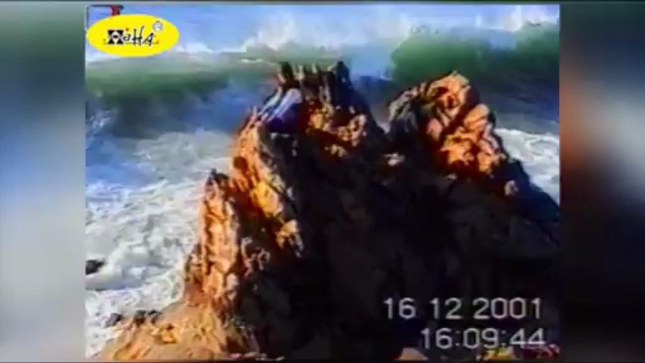 다모아카지노 ＡＣ１０.ＲＯ.ＴＯ 다모아바카라