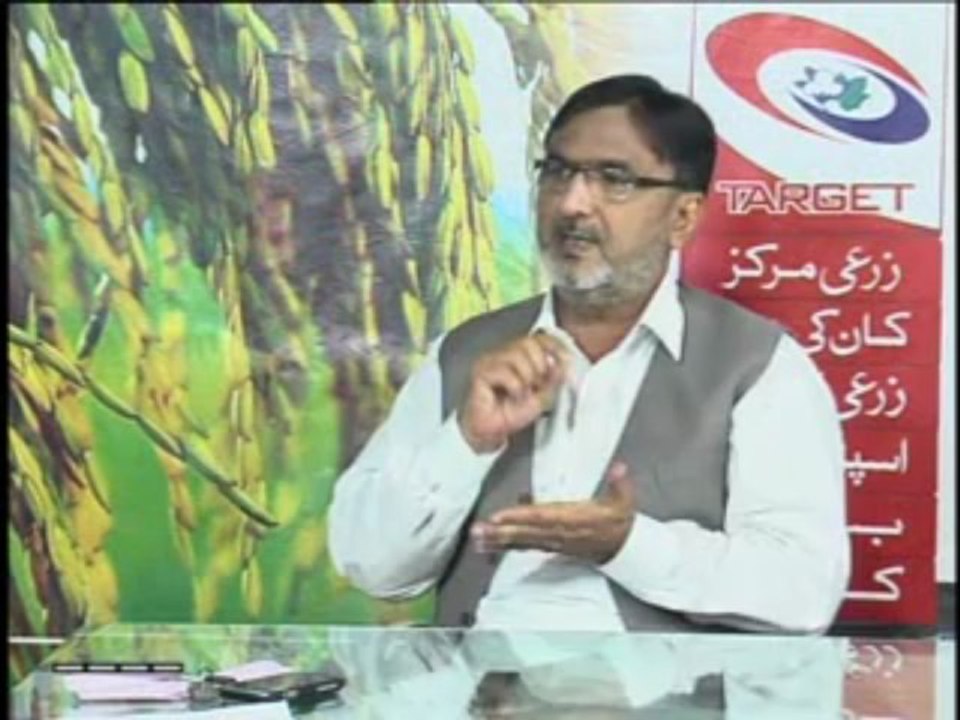 Zari Pandal with Saghir Ramay on Plant Protection & Quality Control