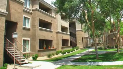 Ventura Vista Apartments in Phoenix, AZ - ForRent.com