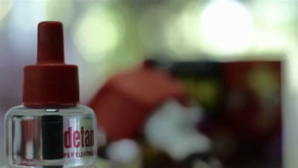 Gece boyunca sineklerden korunmak mümkün mü?