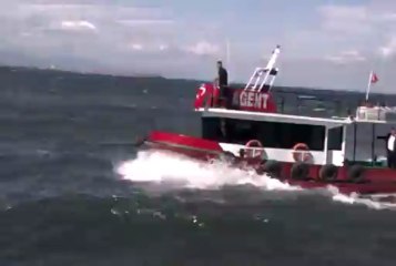 Denize Karanfil Koyma