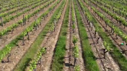 Abbaye saint Maur entre Loire et Vignoble