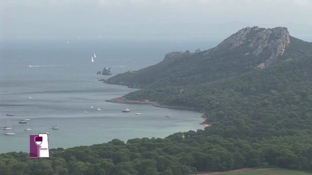 Porquerolles: vins d'une île, vins de rêve? Avec le Domaine de la Courtade. Un Verre de Terroir en Provence
