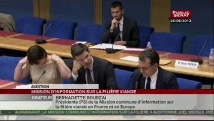 Audition,Audition de la mission commune d'information sur la filière viande