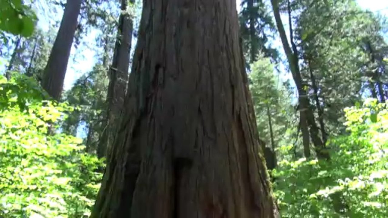 Reportage à High sierra par tourismes.tv