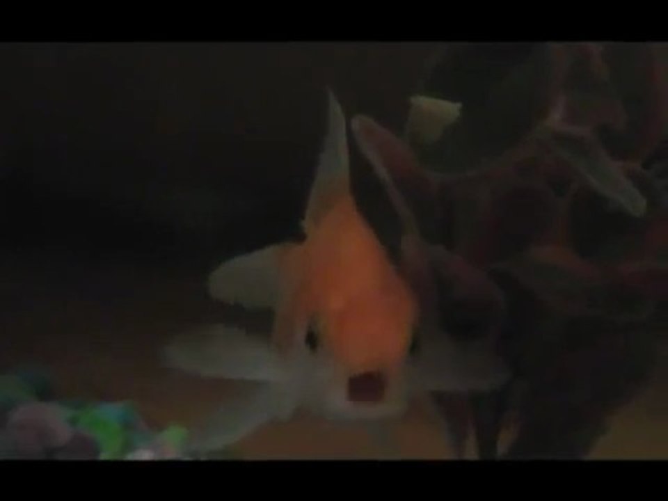 Poisson rouge rappeur