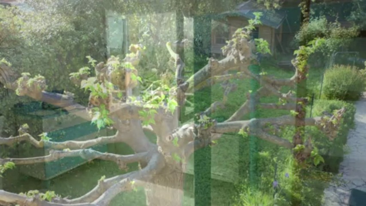 Villa à vendre La Colle-Sur-Loup - Piscine - 5 pièces - 140 m²