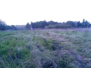 yz 125 as de la boss hihihihi