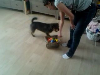 Max doit ranger ses affaires