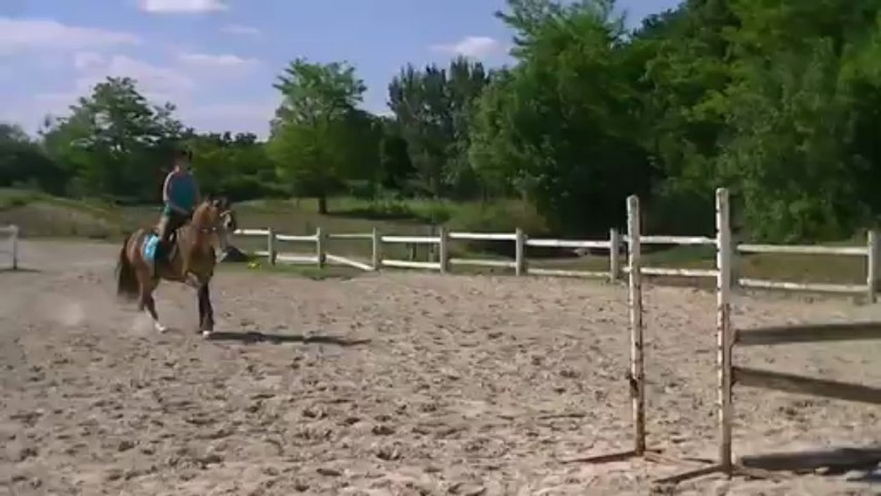 Kaolin et moi obstacle en side pull