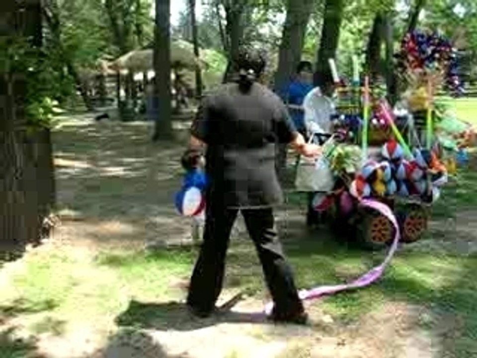 El Organillero Chileno