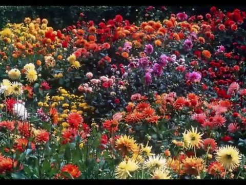Paul Mauriat ( Le Temps Des Fleurs / Yamaha Tyros 2 )
