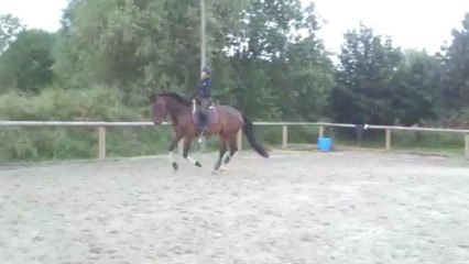 estrade galop gauche