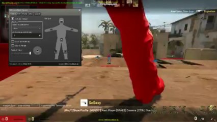 CS: GO Aimbot! (2)