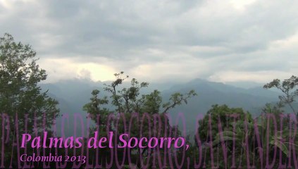 COLOMBIAPalmas y Socorro, 2013