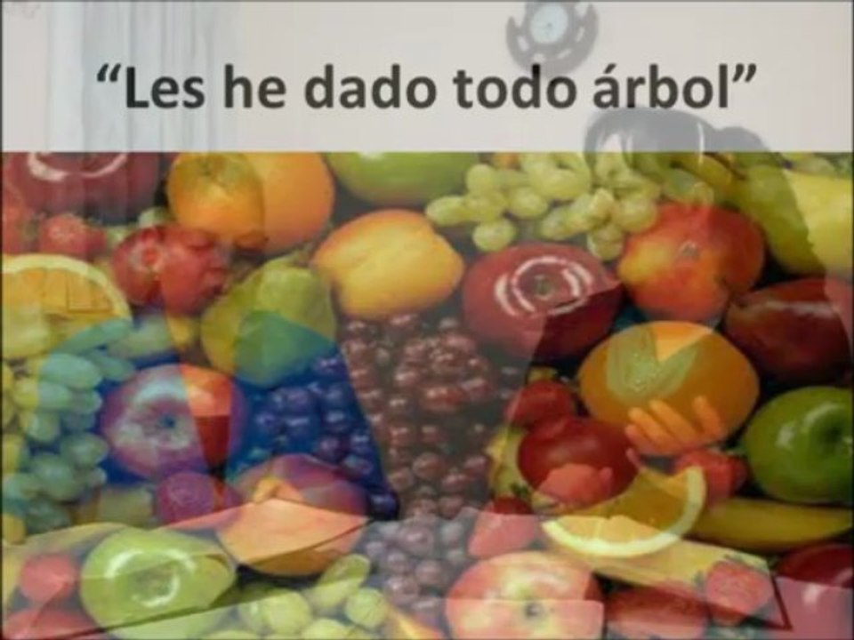 El árbol de la vida no estuvo aqui nunca