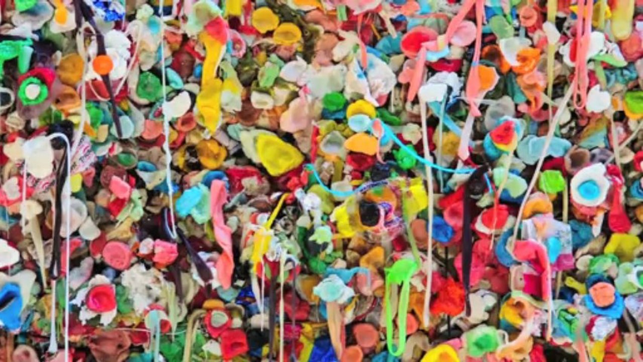 Understanding Chewing Gum Digestion in Human Body video Dailymotion