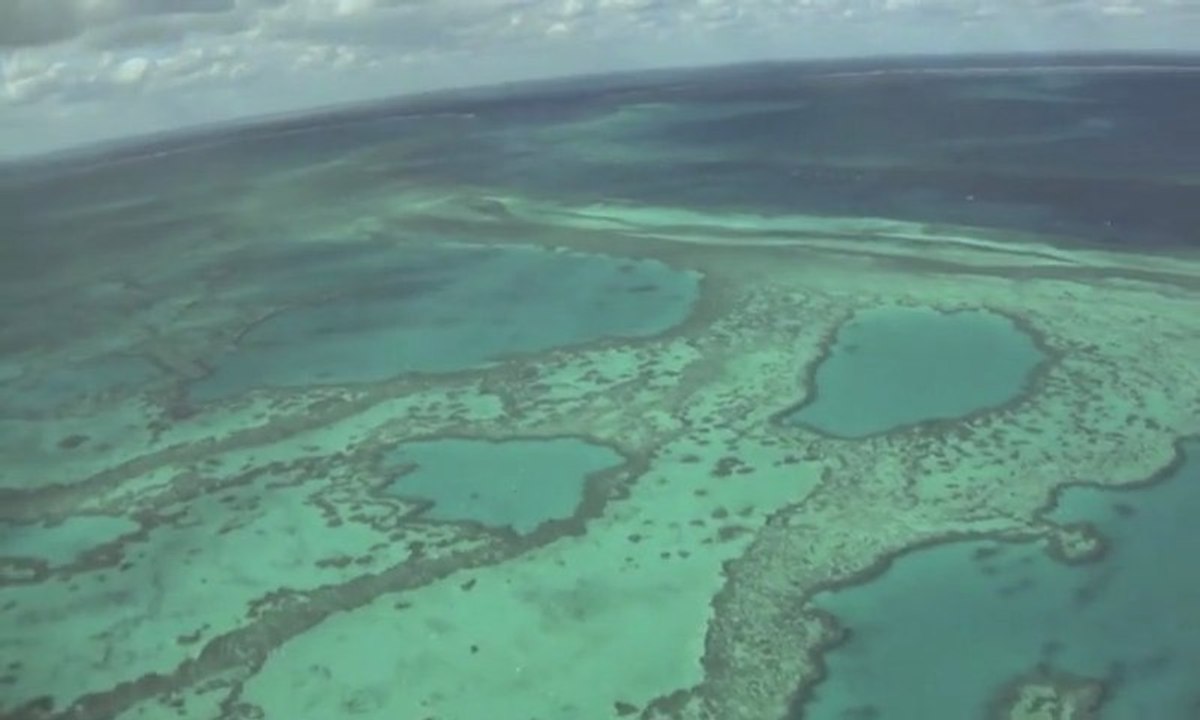 Grande Barrière de Corail by kangourou24