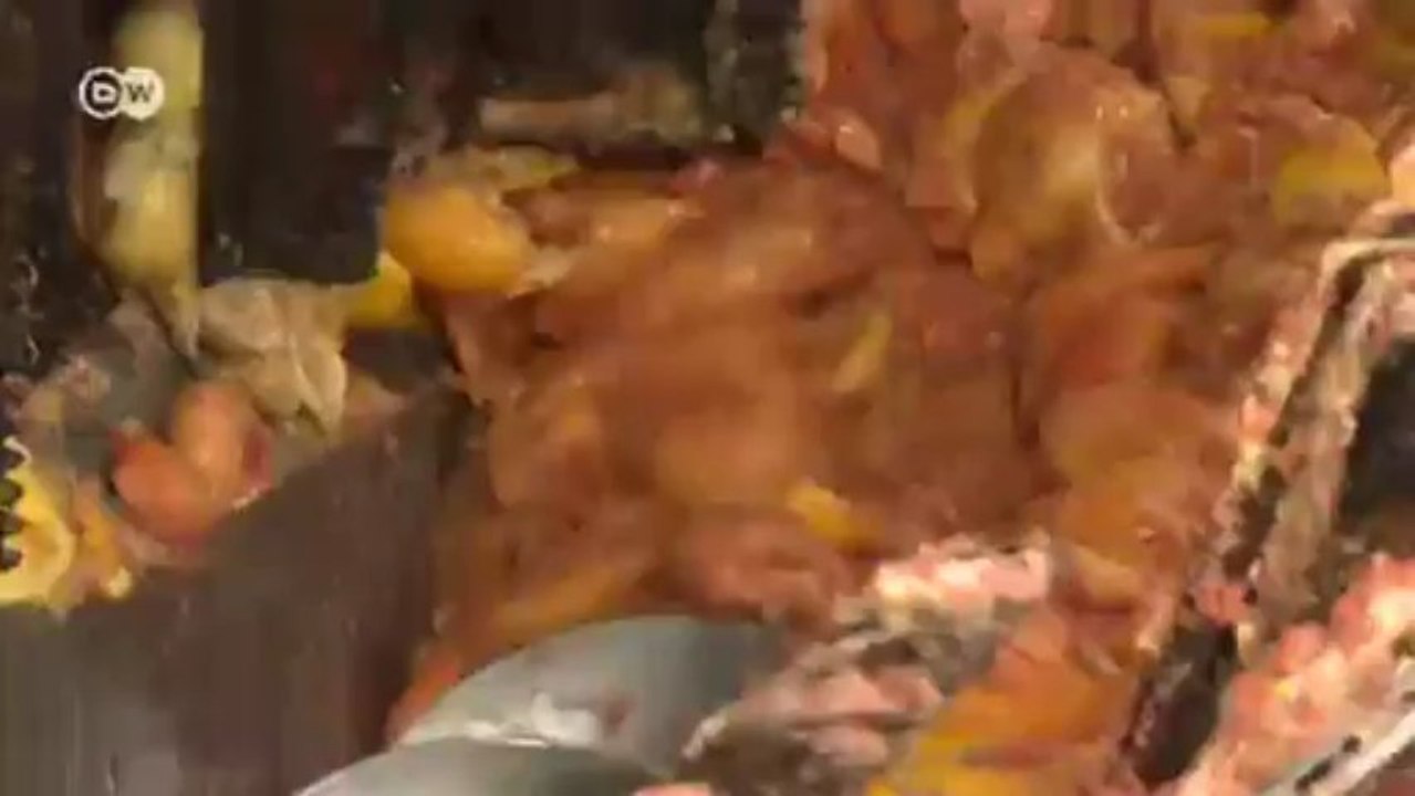 Klimaneutrale Saftproduktion in Südafrika | Global 3000