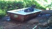 Bear cools off in old bathtub