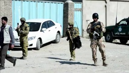 Attaque des talibans contre un sous-traitant de l'Otan, 7 morts