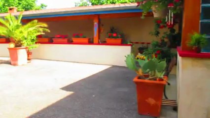 AYTHANN cherche ses croquettes