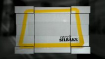 Silicone Baking Mat