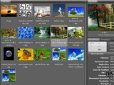 Browse in Bridge Adobe Photoshop CS6 (Urdu & Hindi) Tutorial Part 4