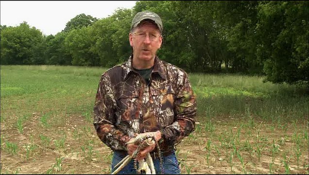 Rut Report: How to Rig Your Rattling Antlers
