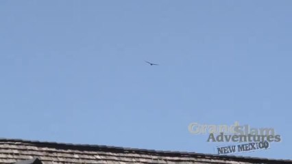 New Mexico Grand Slam Adventure