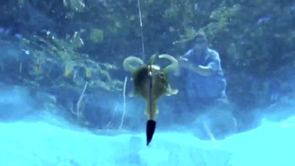 ICAST Pool Test: Trigger X Hodad