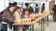 Travaux de réaménagement des Halles