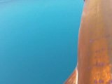 Marlin/Sailfish Trolling Rigs