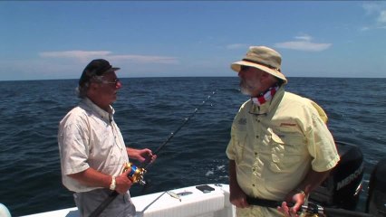 SFTV: Snapper Under Siege Part 1