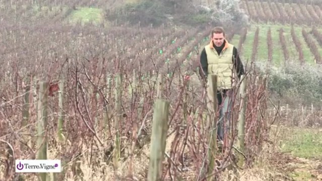Domaine Stéphane Aladame, visite par Jacques Legros de Terreetvigne.com